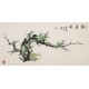 Plum - CNAG003572