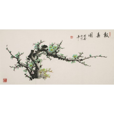 Plum - CNAG003572