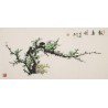 Plum - CNAG003572