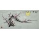 Plum - CNAG003573