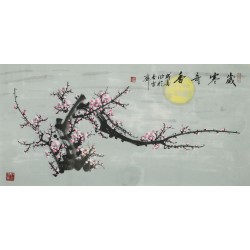 Plum - CNAG003573