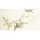 Green Bamboo - CNAG003574