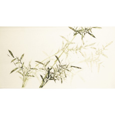 Green Bamboo - CNAG003574