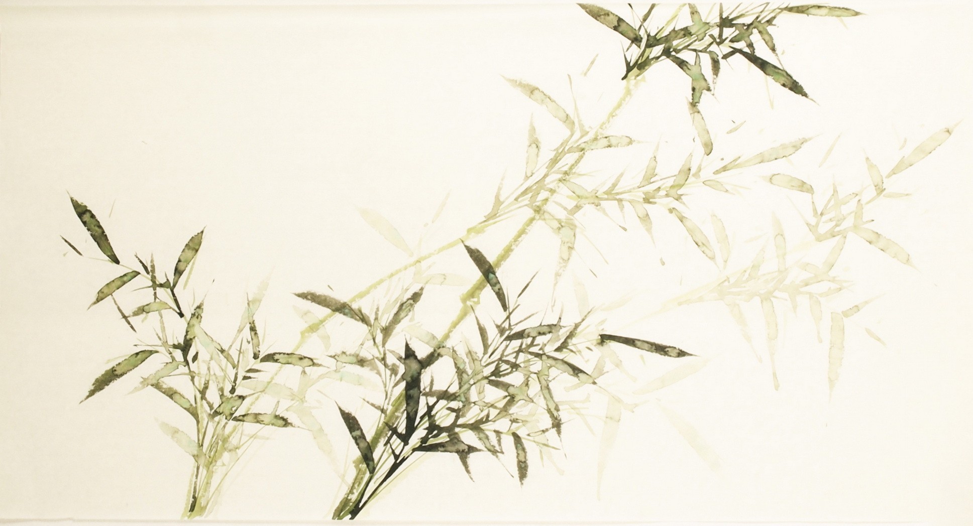 Green Bamboo - CNAG003574
