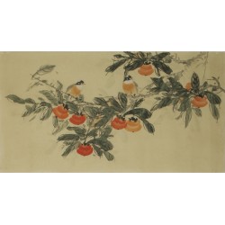 Persimmon - CNAG003577