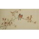 Other Birds - CNAG003580