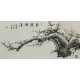 Plum - CNAG003586