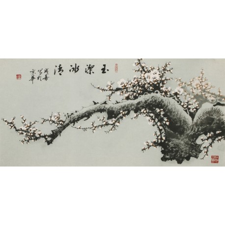Plum - CNAG003586
