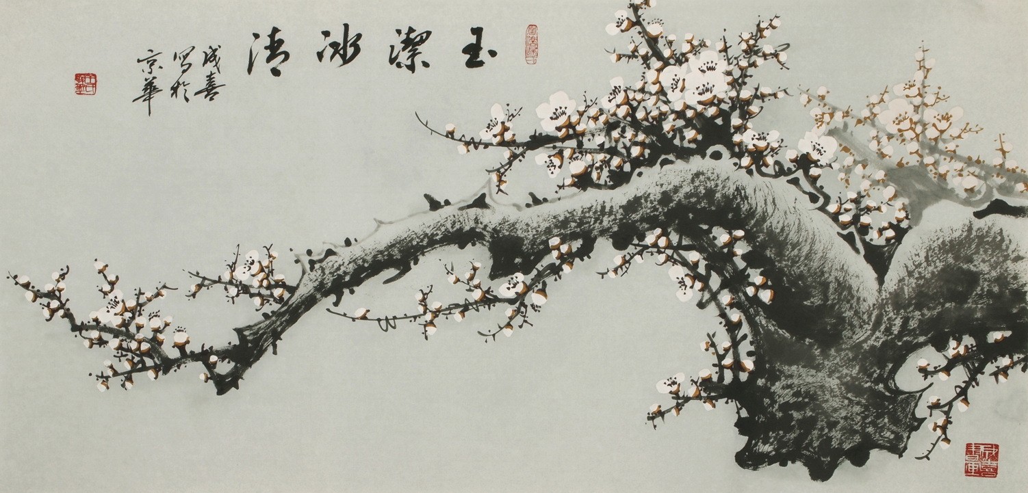 Plum - CNAG003586