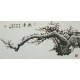 Plum - CNAG003587