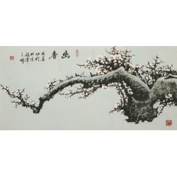 Plum - CNAG003587