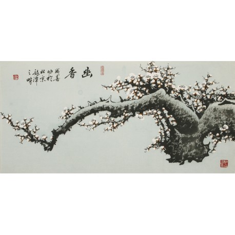 Plum - CNAG003587