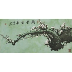 Plum - CNAG003588