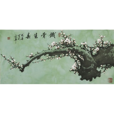 Plum - CNAG003588