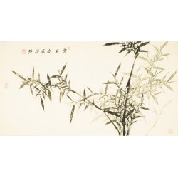 Green Bamboo - CNAG003591