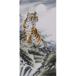 Tiger - CNAG000036