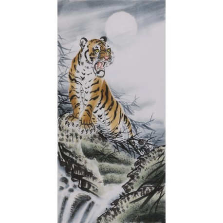 Tiger - CNAG000036