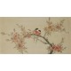 Peach Blossom - CNAG003599