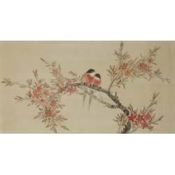 Peach Blossom - CNAG003599