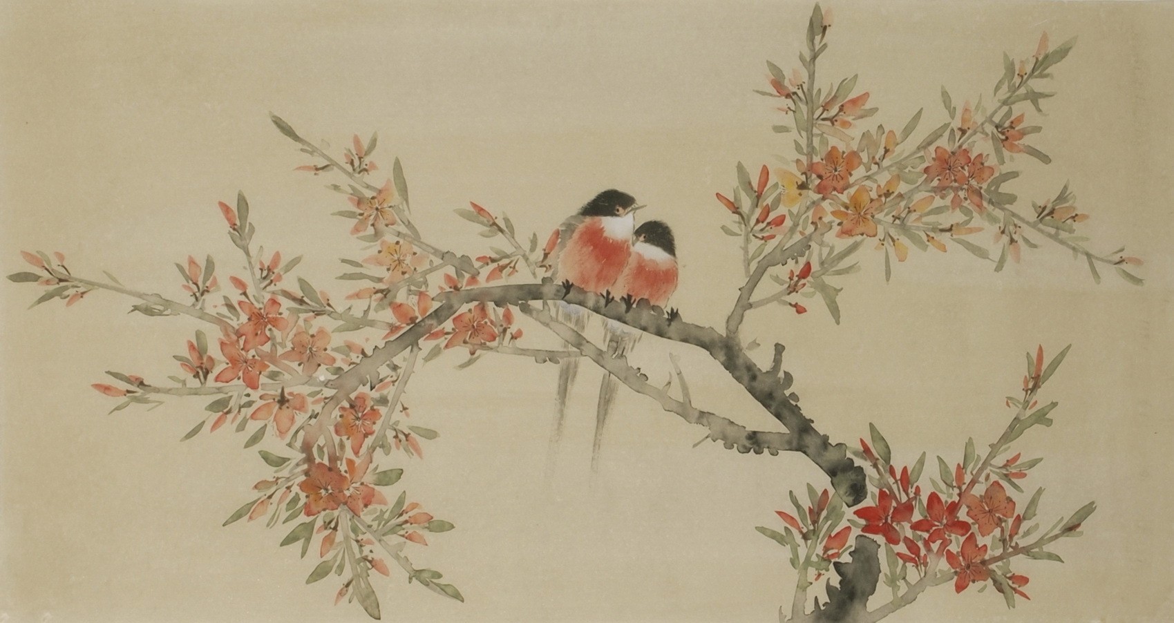 Peach Blossom - CNAG003599