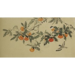 Persimmon - CNAG003600