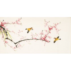 Other Birds - CNAG003602
