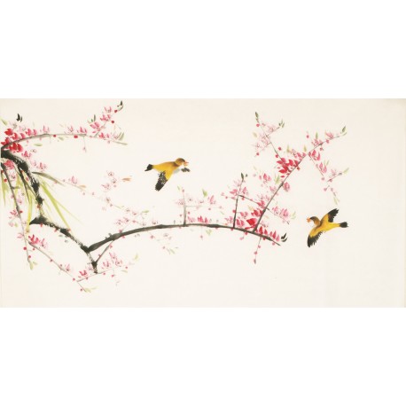 Other Birds - CNAG003602