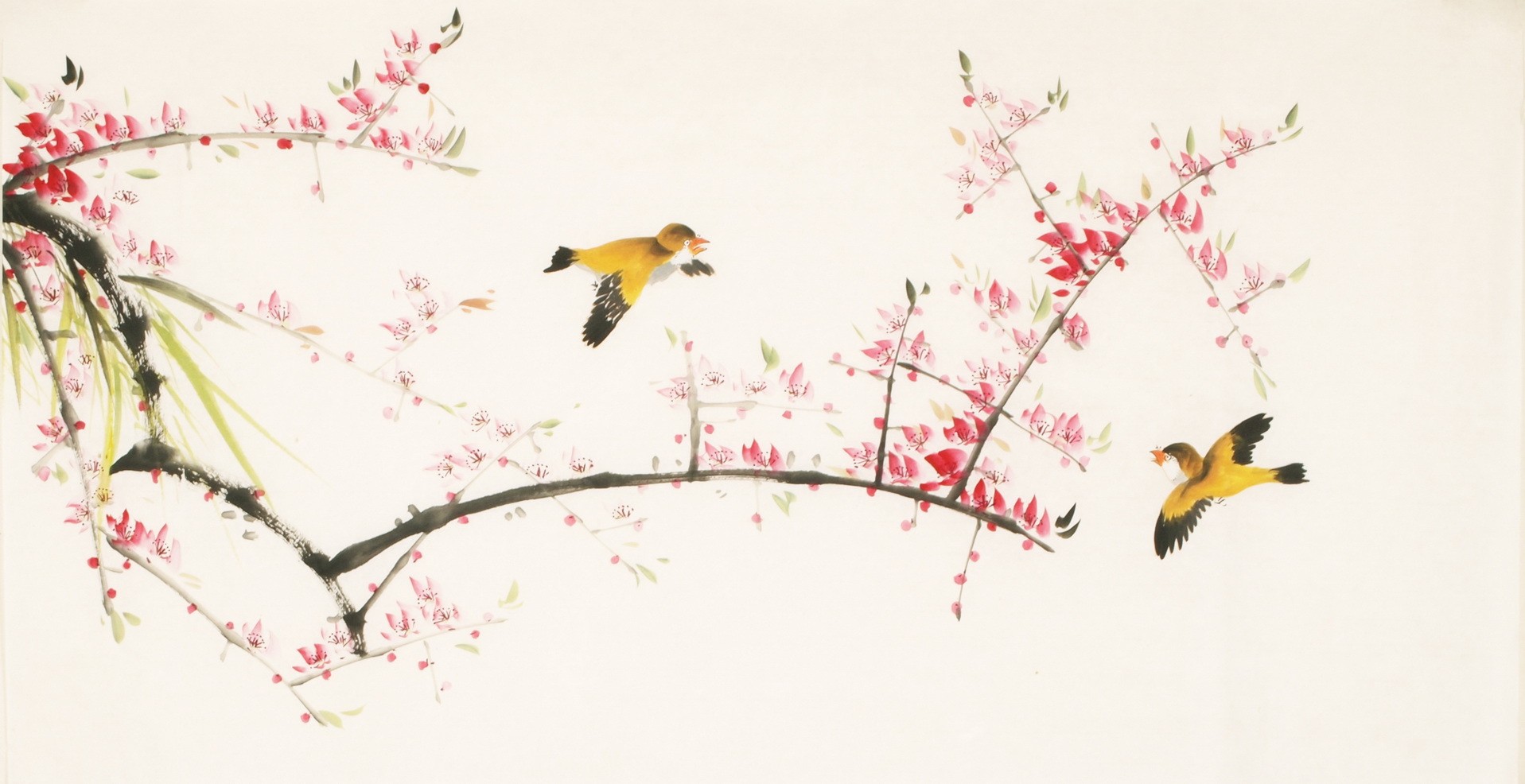Other Birds - CNAG003602