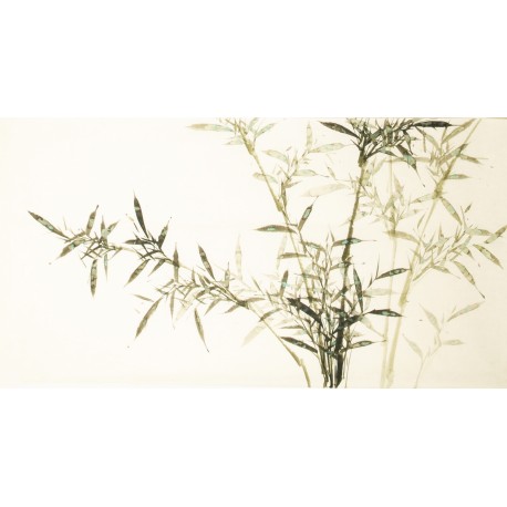 Green Bamboo - CNAG003604