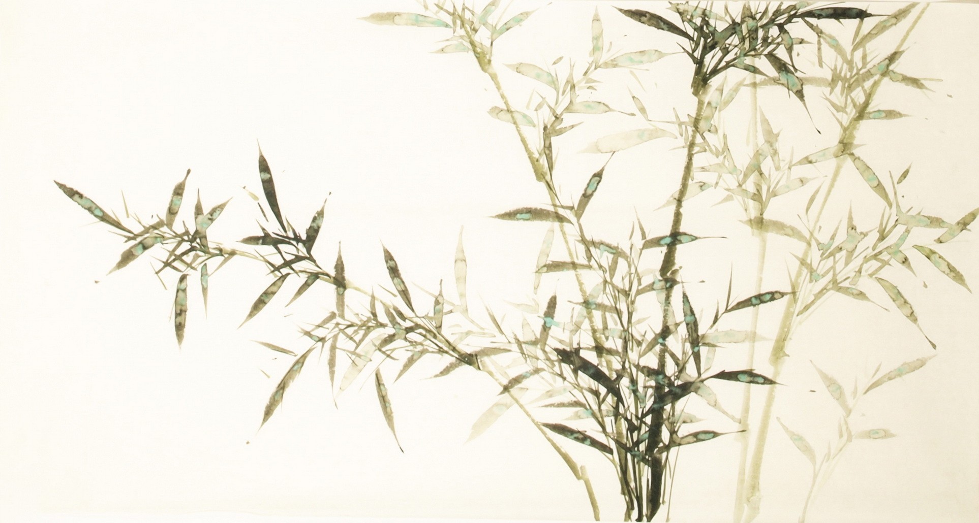 Green Bamboo - CNAG003604
