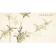 Green Bamboo - CNAG003605