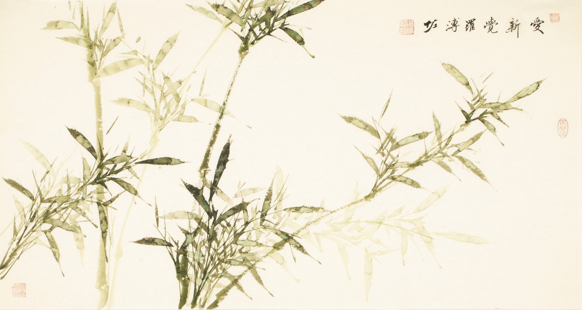 Green Bamboo - CNAG003605