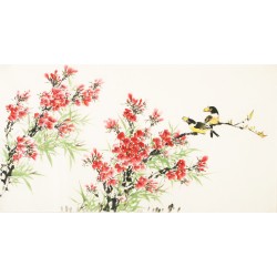 Other Birds - CNAG003606