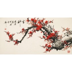 Plum - CNAG003608