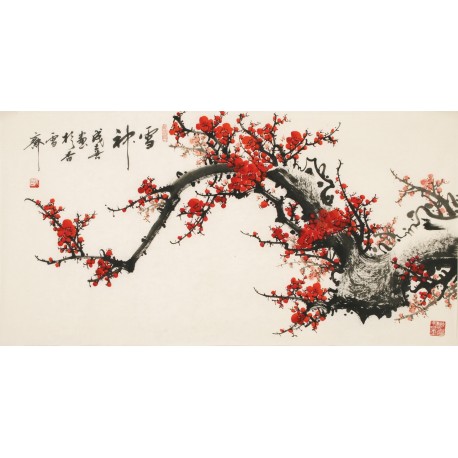 Plum - CNAG003608