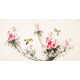 Other Birds - CNAG003610