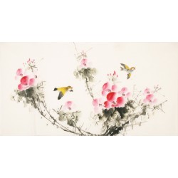 Other Birds - CNAG003610