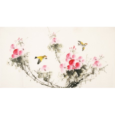 Other Birds - CNAG003610