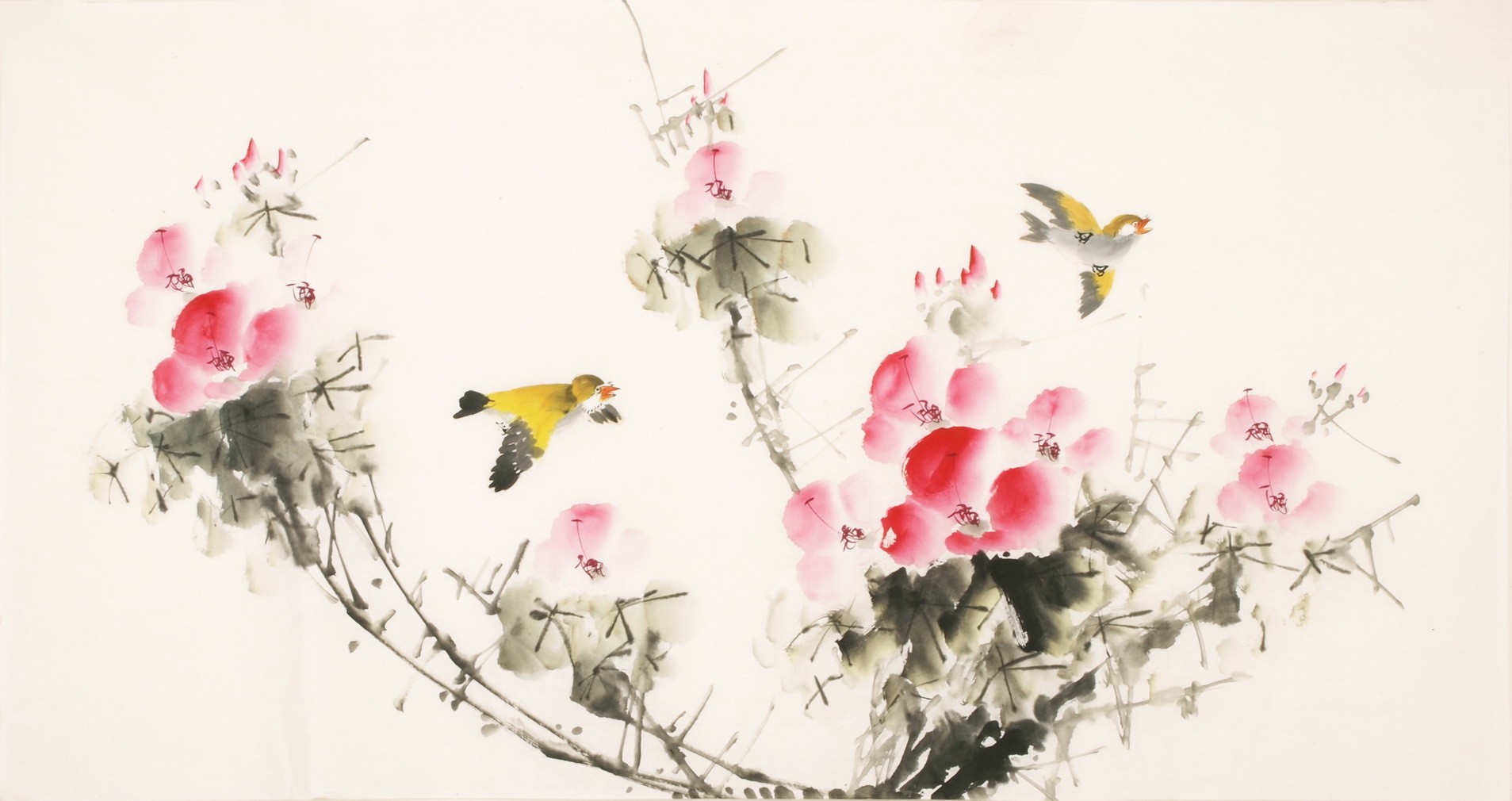 Other Birds - CNAG003610