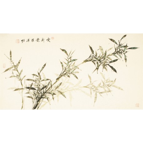 Green Bamboo - CNAG003612