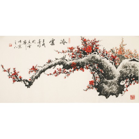 Plum - CNAG003614