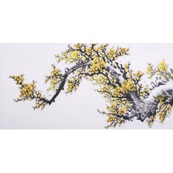 Plum - CNAG003617