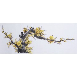 Plum - CNAG003618