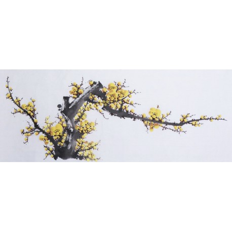Plum - CNAG003618