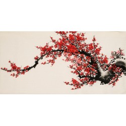 Plum - CNAG003629