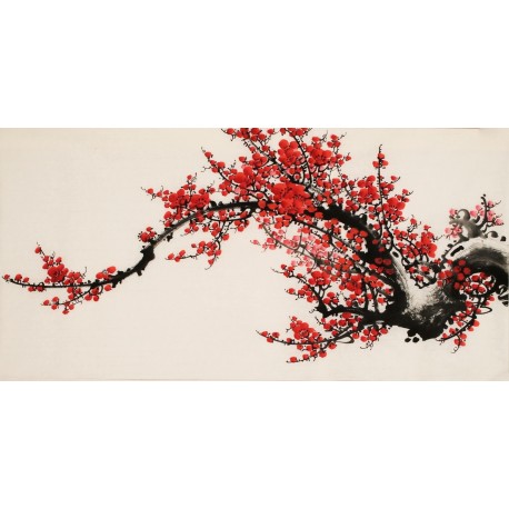Plum - CNAG003629