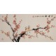 Plum - CNAG003636