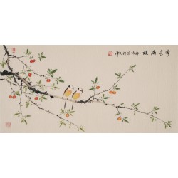 Other Birds - CNAG003637