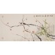 Other Birds - CNAG003642