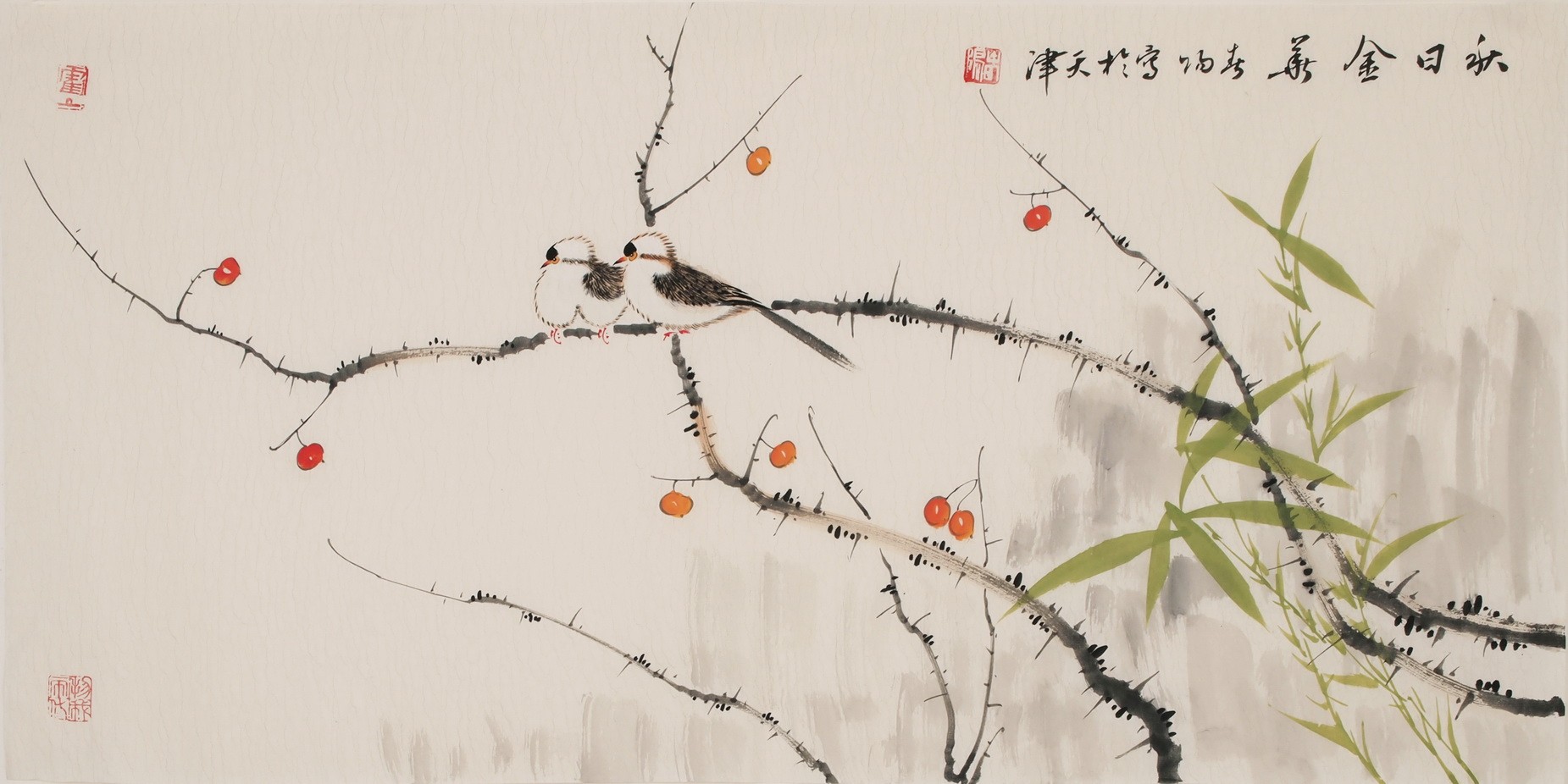 Other Birds - CNAG003642